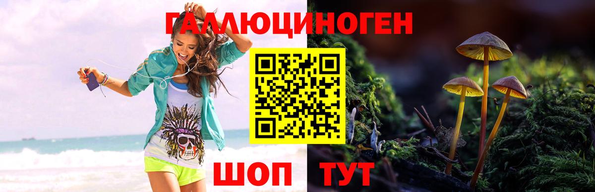 Псилоцибиновые грибы прущие грибы Орёл